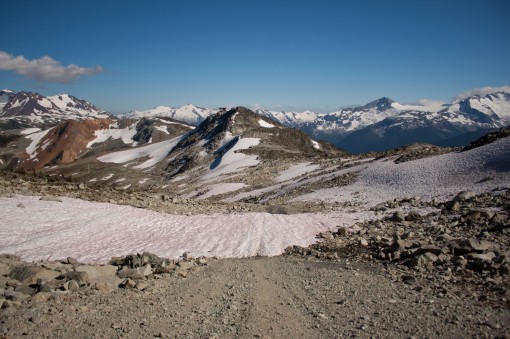 Snow stil remains near the Half Note Trail in Whistler's alpine well into July