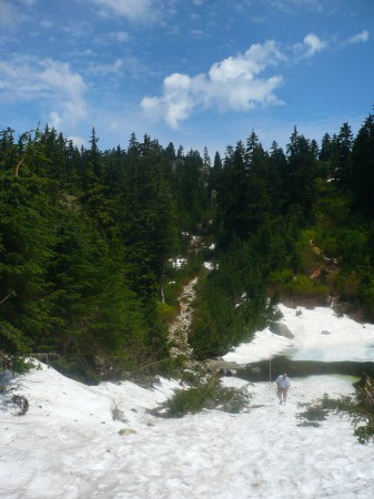 Leaving the ski run/access road and entering the main trail to Mount Seymour