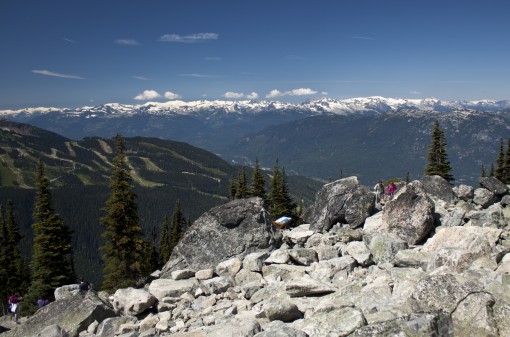 Blackcomb Fitzsimmons Valley Viewpoint