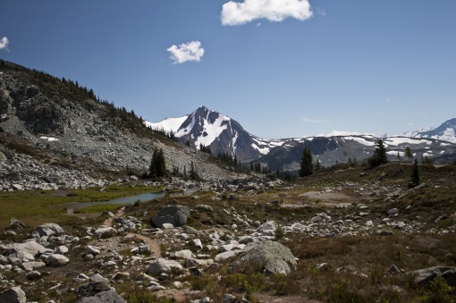 Blackcomb View of Overlord Glacier