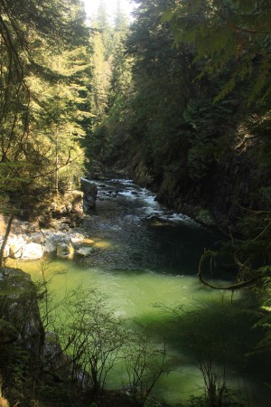 A view of the Capilano River below