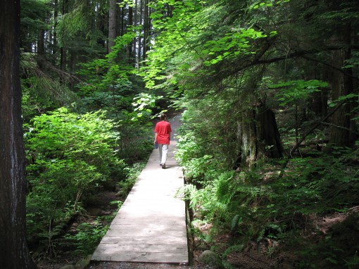 Walking across a wooden bridge on the Lynn Loop Trail