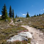 The Harmony Meadows Trail in the Whistler Alpine