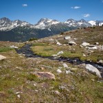 A small stream in Whistler's Alpine