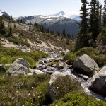 Blackcomb Alpine Hiking Trails