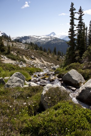 Blackcomb Alpine Hiking Trails