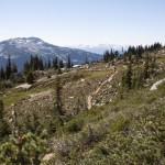 Blackcomb Hiking Trails