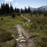 Blackcomb Alpine Hiking Trail