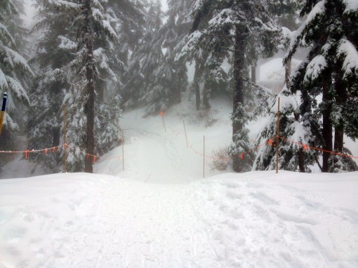 A bit of fog along the Snowshoe Grind trail