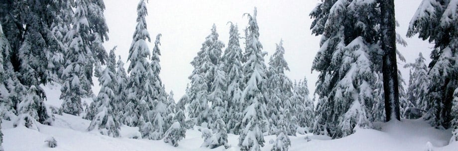 The Snowshoe Grind on Grouse Mountain