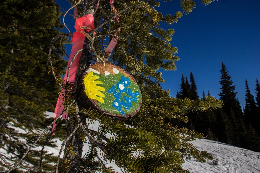 Zoa Peak wooden marker.