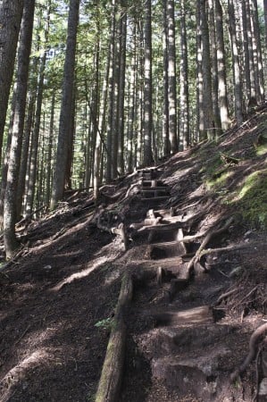 The BCMC Trail to the top of Grouse Mountain