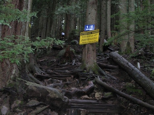 The 1/4 Mark of the Grouse Grind on a rainy day.