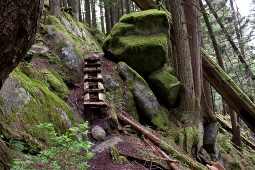 Steep, wooden steps up the Harrison Grind