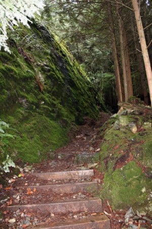 The trail to Jug Island