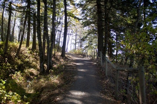 Near the top of the Mount Thom trail