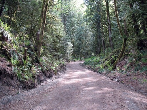 The start of Teapot Hill goes up a steep road