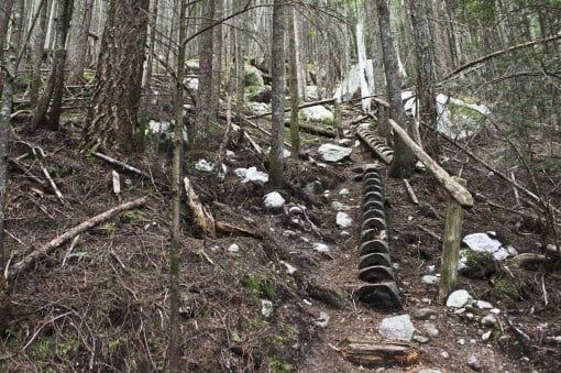 Upper Shannon Falls Trail