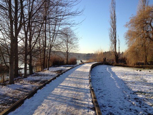 Deer Lake Boardwalks with Snow