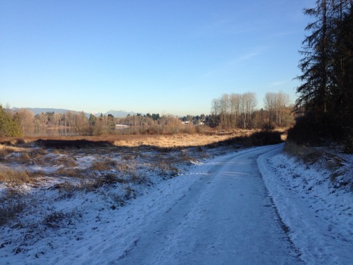 Deer Lake trail on a cold December day