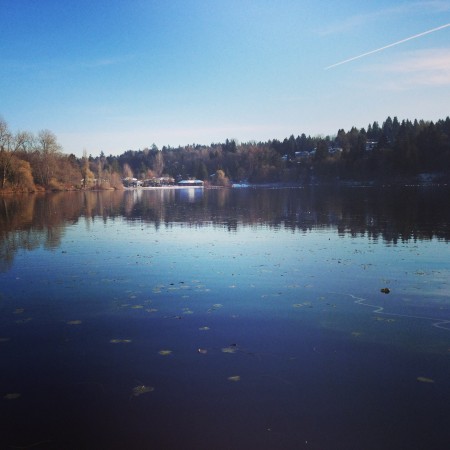 Deer Lake on a cold December day