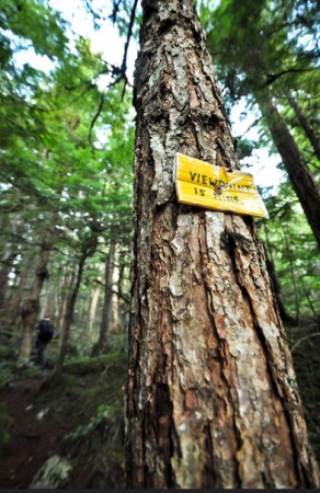 A sign along the Shannon Falls Trail