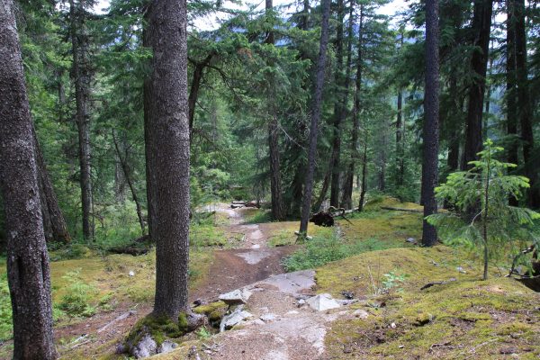 The trail from the Sea To Sky Highway to the Whistler Train Wreck