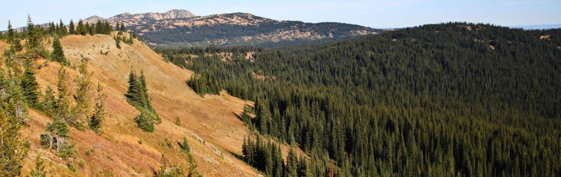 Manning Park Fall Colours