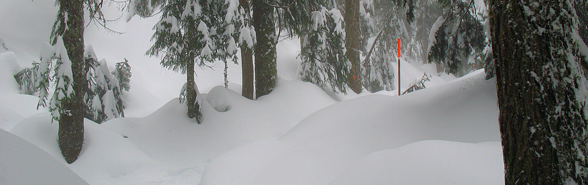 snowshoe paths near me