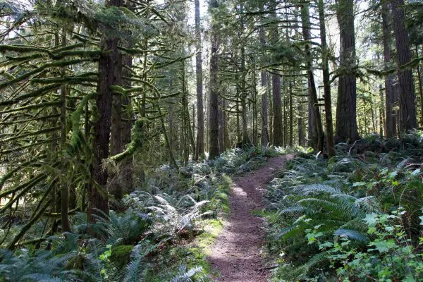 10 Best Trails and Hikes in Chilliwack