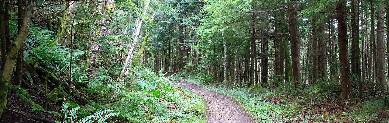 Tunnel Bluffs Trail