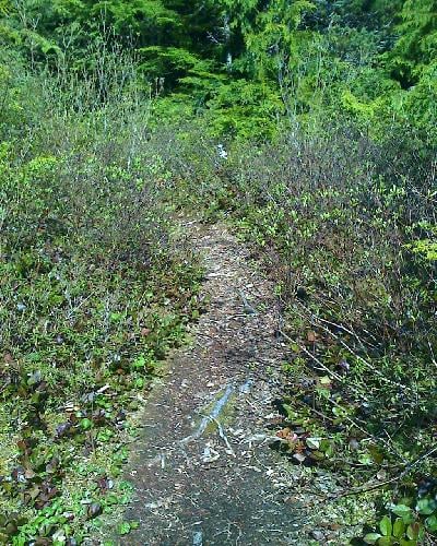 Butze Rapids Trails