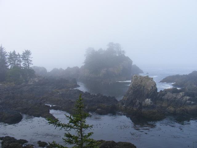 Wild Pacific Trail