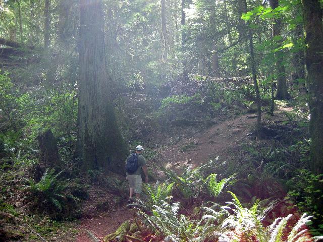 Mount Finlayson