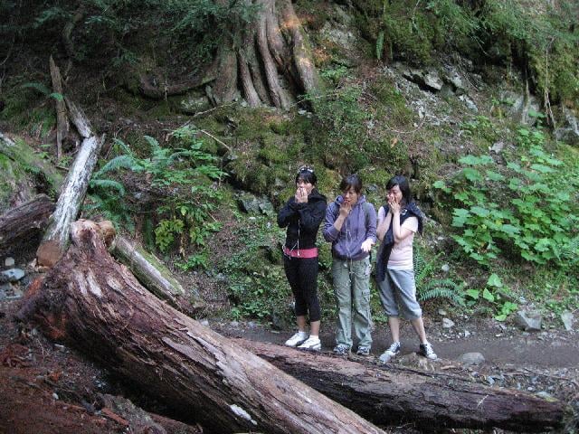 Garibaldi Lake Trail