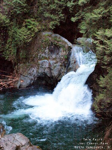 Lynn Canyon Park