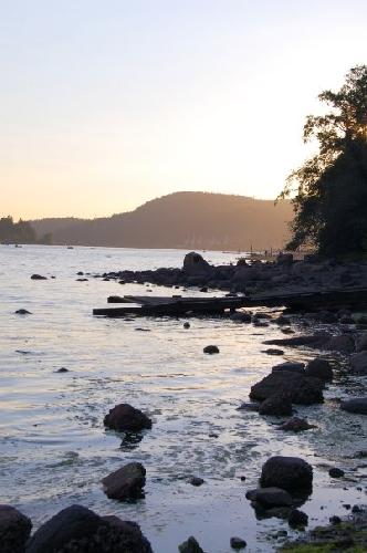 Shoreline Trail