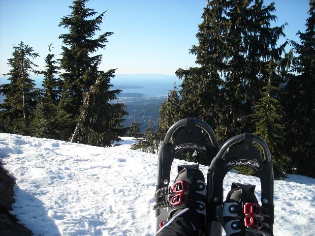 Dog Mountain Trail