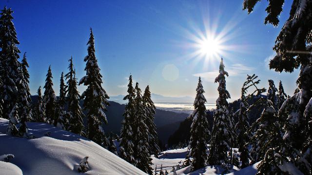 Mt Seymour Main Trail