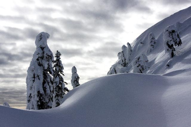 Mt Seymour