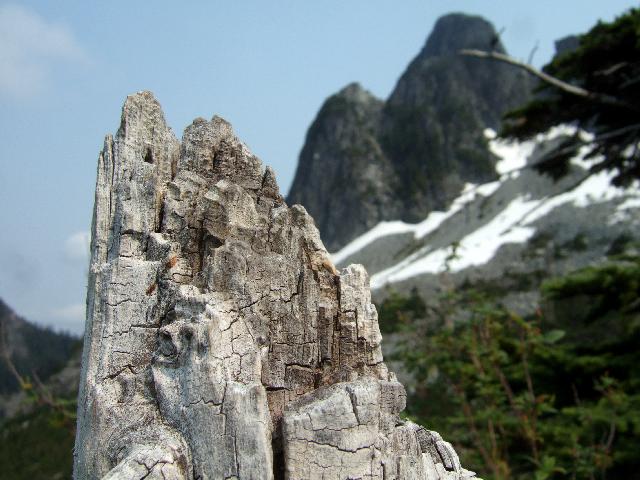 The Lions Binkert Trail