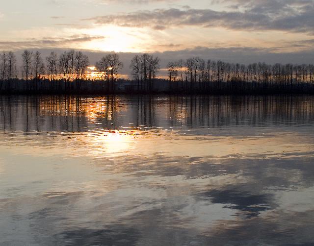 Pitt River Dykes Trail