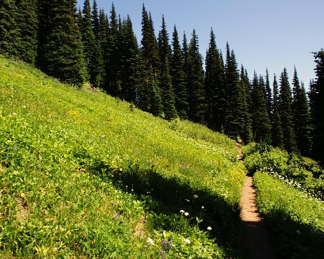 Bask Tusk Meadows