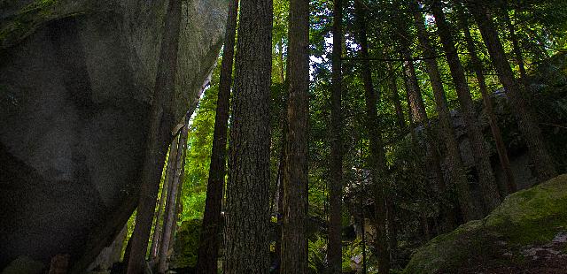 Bouldering Area Of The Stawamus Chief