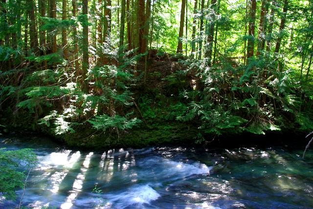 Brandywine Falls Trail