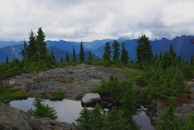 Hollyburn Mountain Trail