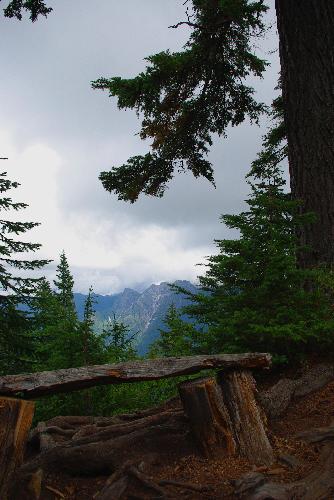 Hollyburn Mountain Trail