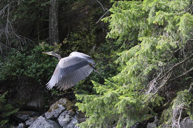 Unwin Lake Trail