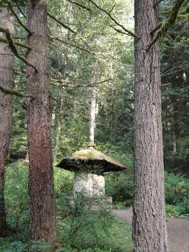 Capilano Canyon