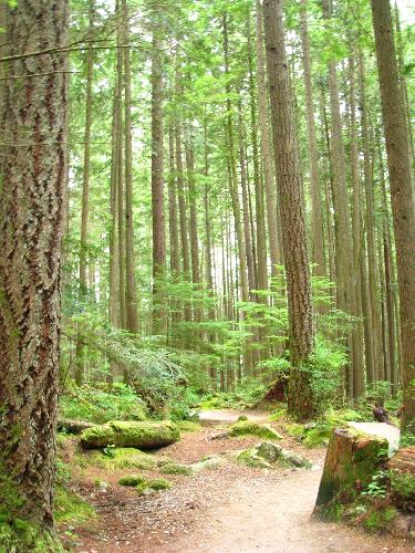 Buntzen Lake Trail